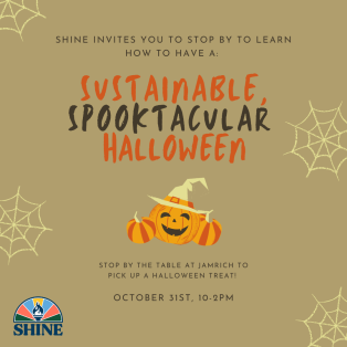 Poster describing the event 