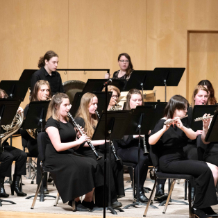 part of the upper winds and horn section