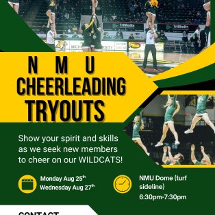 Cheerleading tryout poster