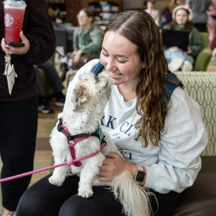 Student petting a Shih Tzu wildpup at NMU's animal therapy event.