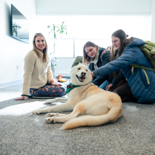 Three people sitting with and petting a Wildpup at an NMU therapy animal event.