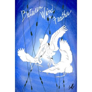 Blue-toned illustration of three white cranes in flight among reeds, with handwritten words “Between," “Wind,” and “Feather.”