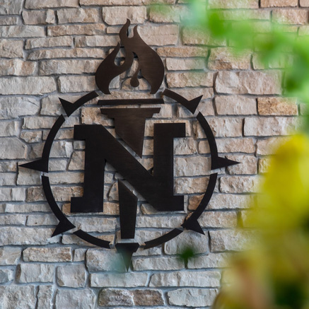 NMU Logo on bricks