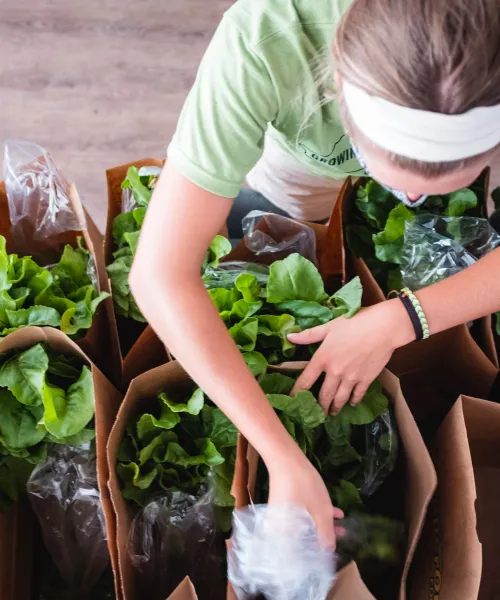 person putting lettuce in paper bag