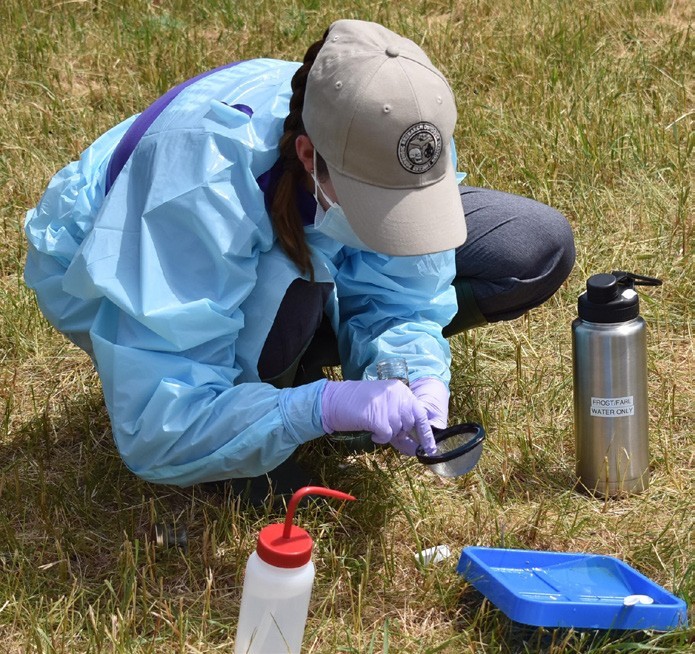 Student conducting research at FROST site