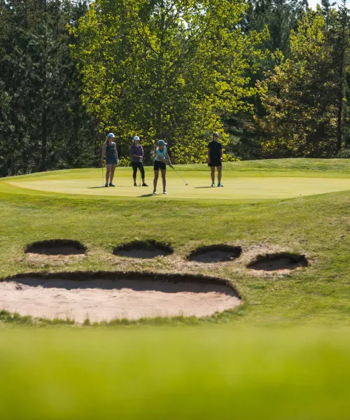 Home NMU Golf Course