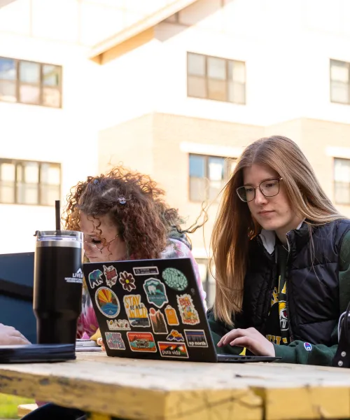 Students studying outside