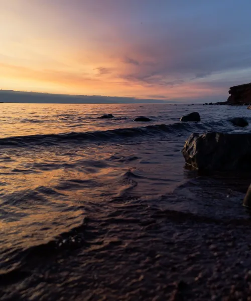 Sunset over a calm body of water with a rocky shoreline and silhouetted trees in the background.