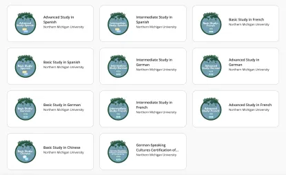 Gallery of Credly badges