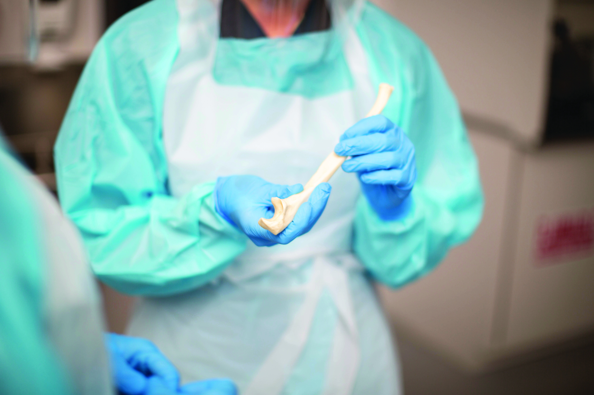 Peson in scrubs and gloves hiding a human bone in laboratory