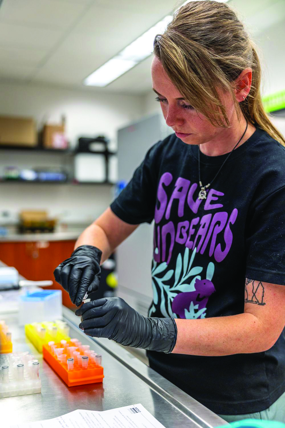 Biology student Rylee Jensen in NMU's Wildlife Ecology and Conservation Science Lab working with microbial DNA samples from African herbivores