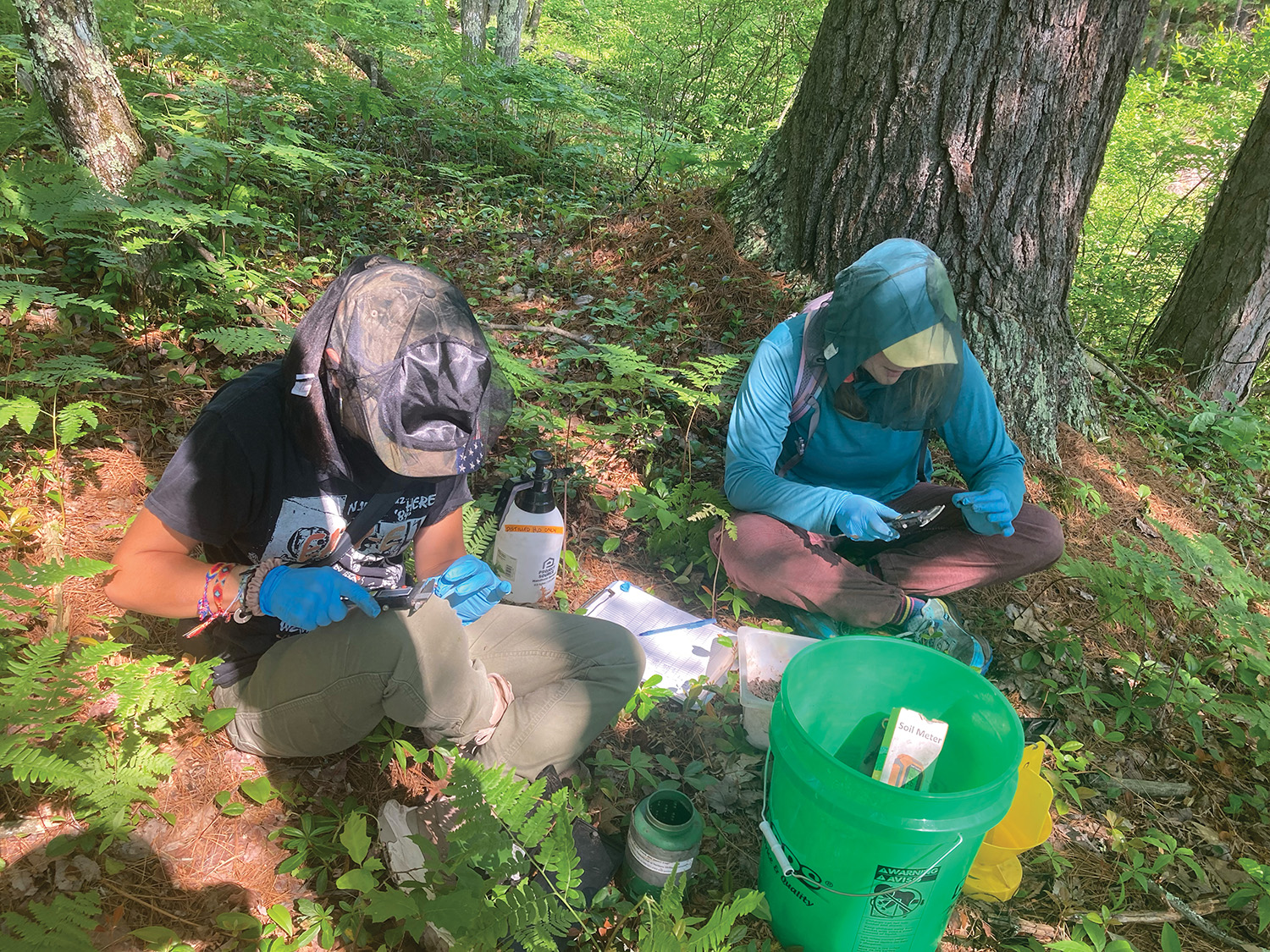 Two students wearing rubber gloves measure burying beetles