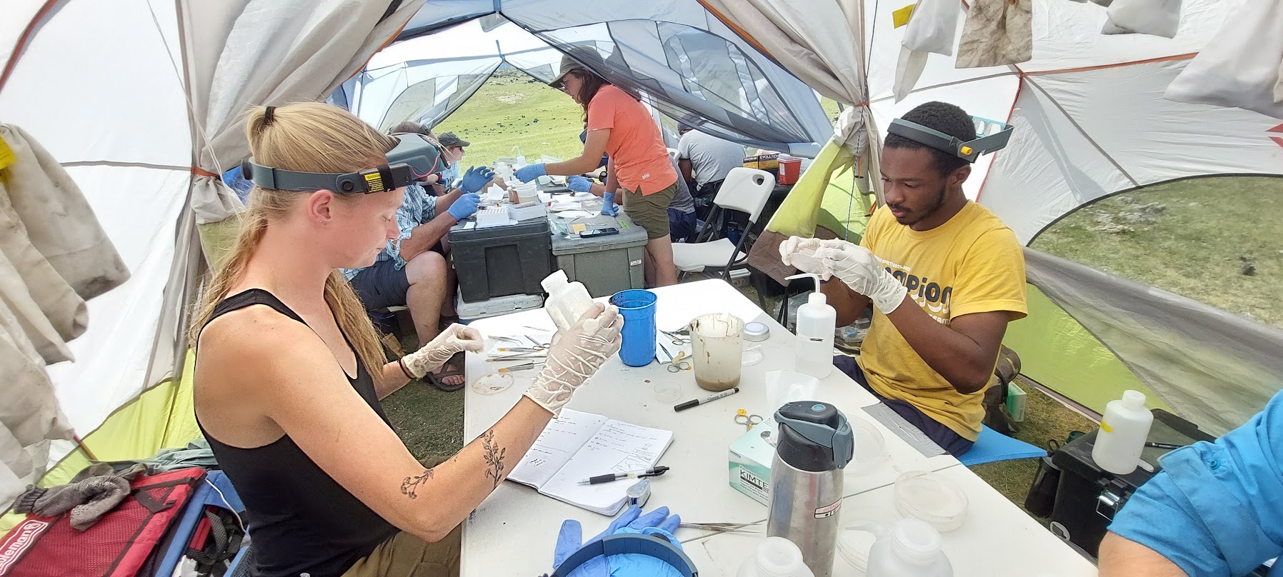 NMU Student Kenzie Grover on left in tent working with fellow students on biological samples