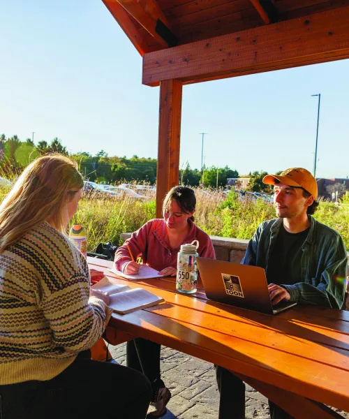 Students studying in NMU's outdoor learning area