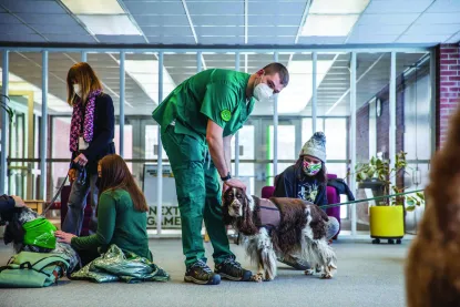 Nursing Students and Wild Pups