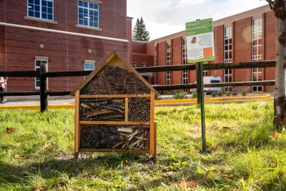 A Pollinator Overwintering Hotels for bees on NMU's campus