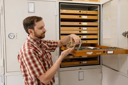 Kurt Galbreath holds a rodent specimen from a pull-out drawer.
