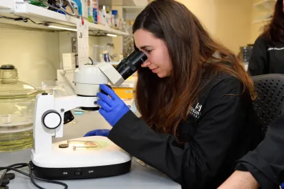 Alumna Rebecca Mueller looking through a microscope.