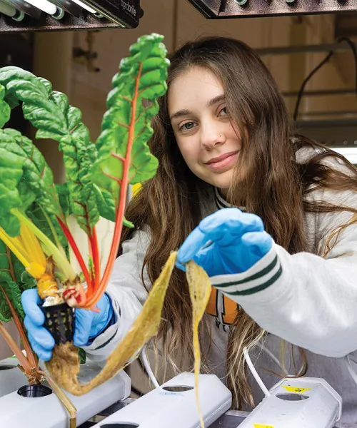 Student holding roots of hydroponic leafy plant