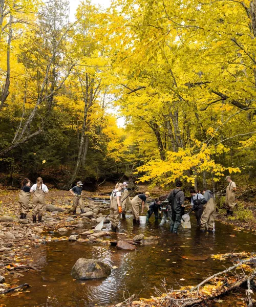 Students conducting an aquatic species study at the Little Garlic River.