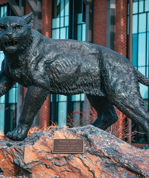 The wildcat statue on the campus of NMU.