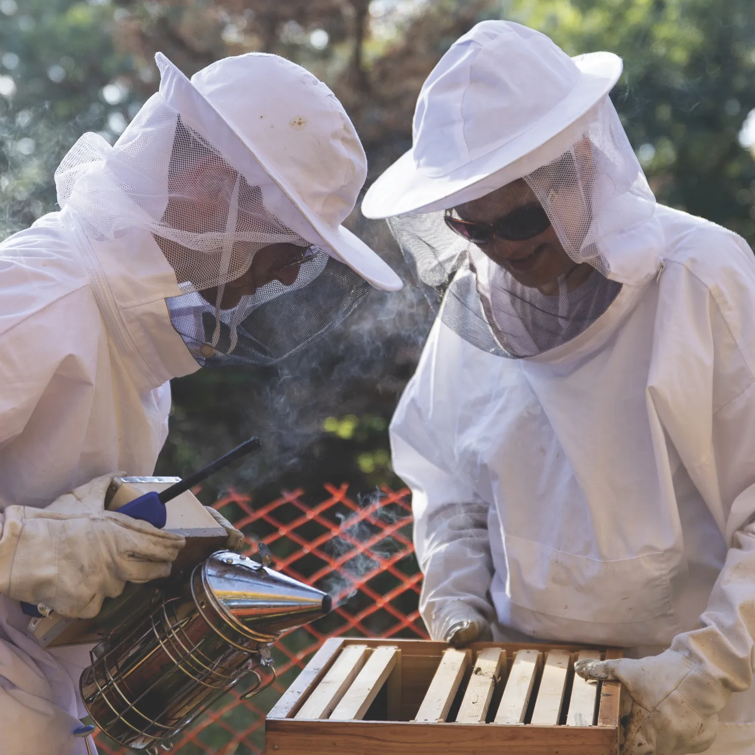 Bee Keepers Spraying Heat on Hive