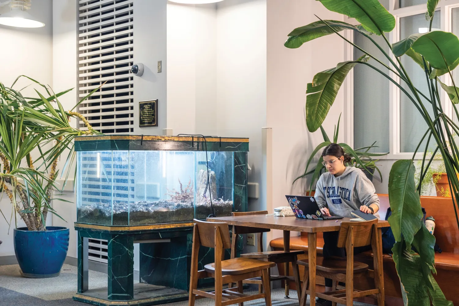 A student studying by a large fish tank in Weston's Lucas Atrium