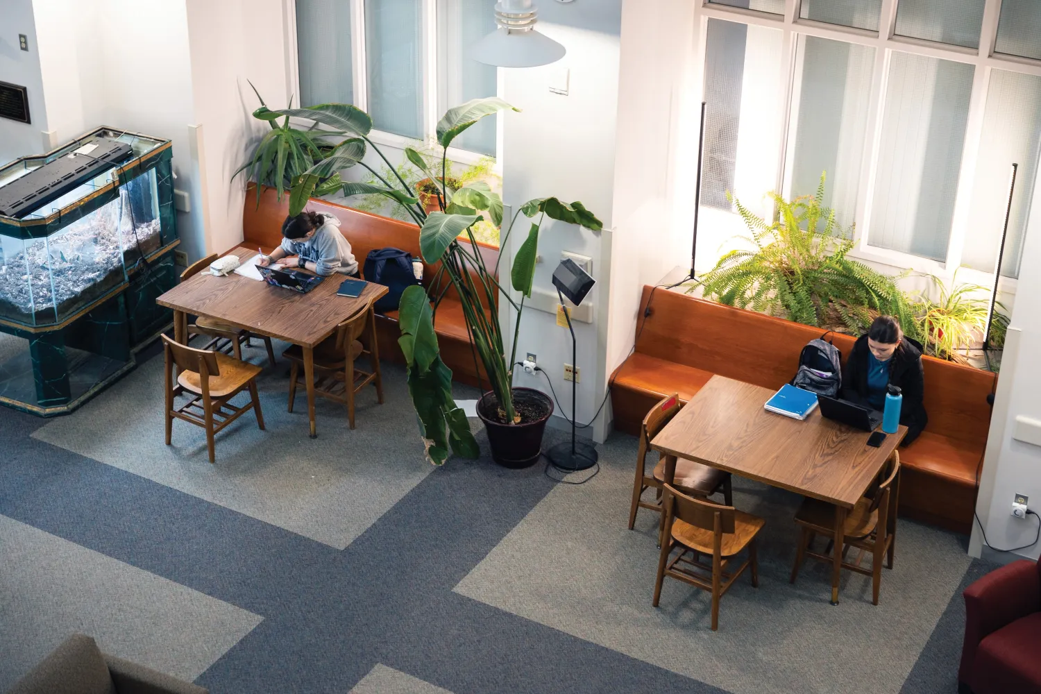 Students studying surrounded by plant life in Weston Hall's Lucas Atrium