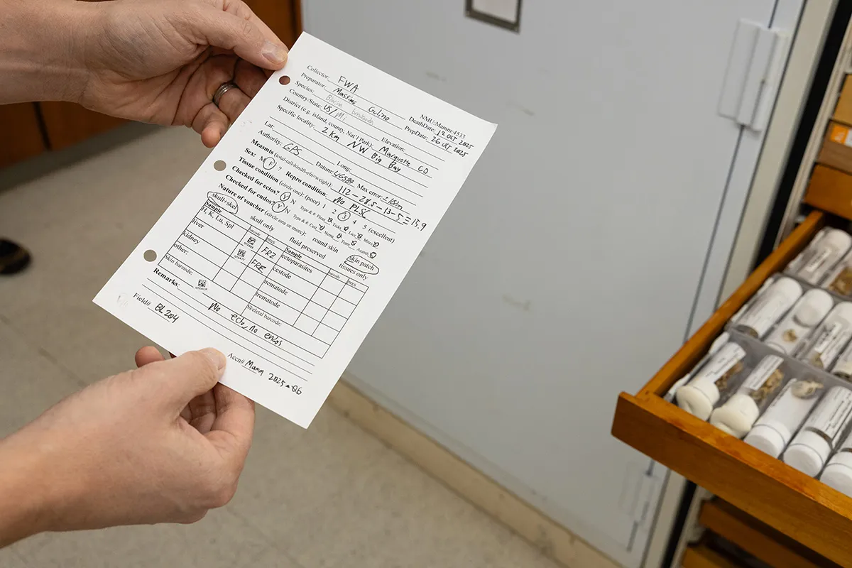 A cataloging tag for a specimen found near Big Bay, Michigan