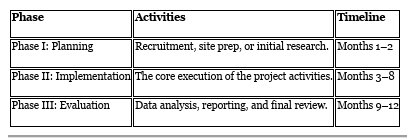 Project Timeline