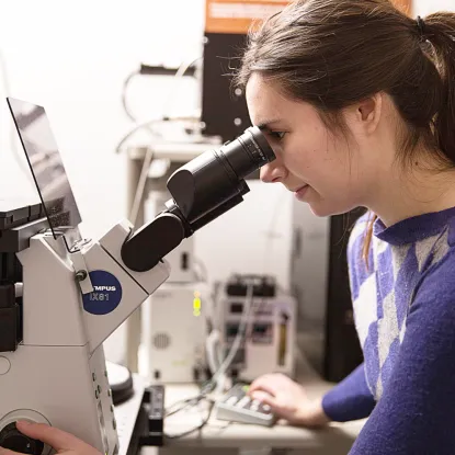 A woman in a blue sweater intensely observes through a microscope in a lab, focused on her research. The environment is scientific and studious.