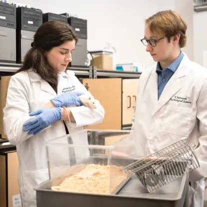 Two scientists in lab coats examine a white lab rat. One holds the rat gently, wearing blue gloves. They stand by a cage, looking focused in a laboratory setting.
