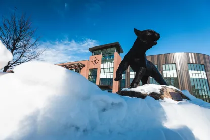 wildcat statue in the snow