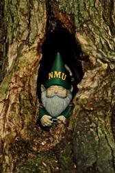 NMU Gnome