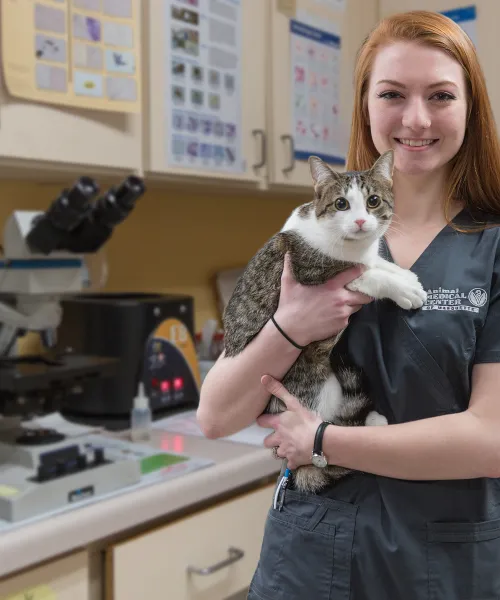 Female pre-vet student holding a cat in a lab