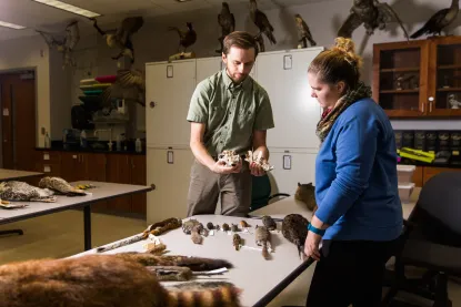Male professor doing research with a female student in the Zoological museum