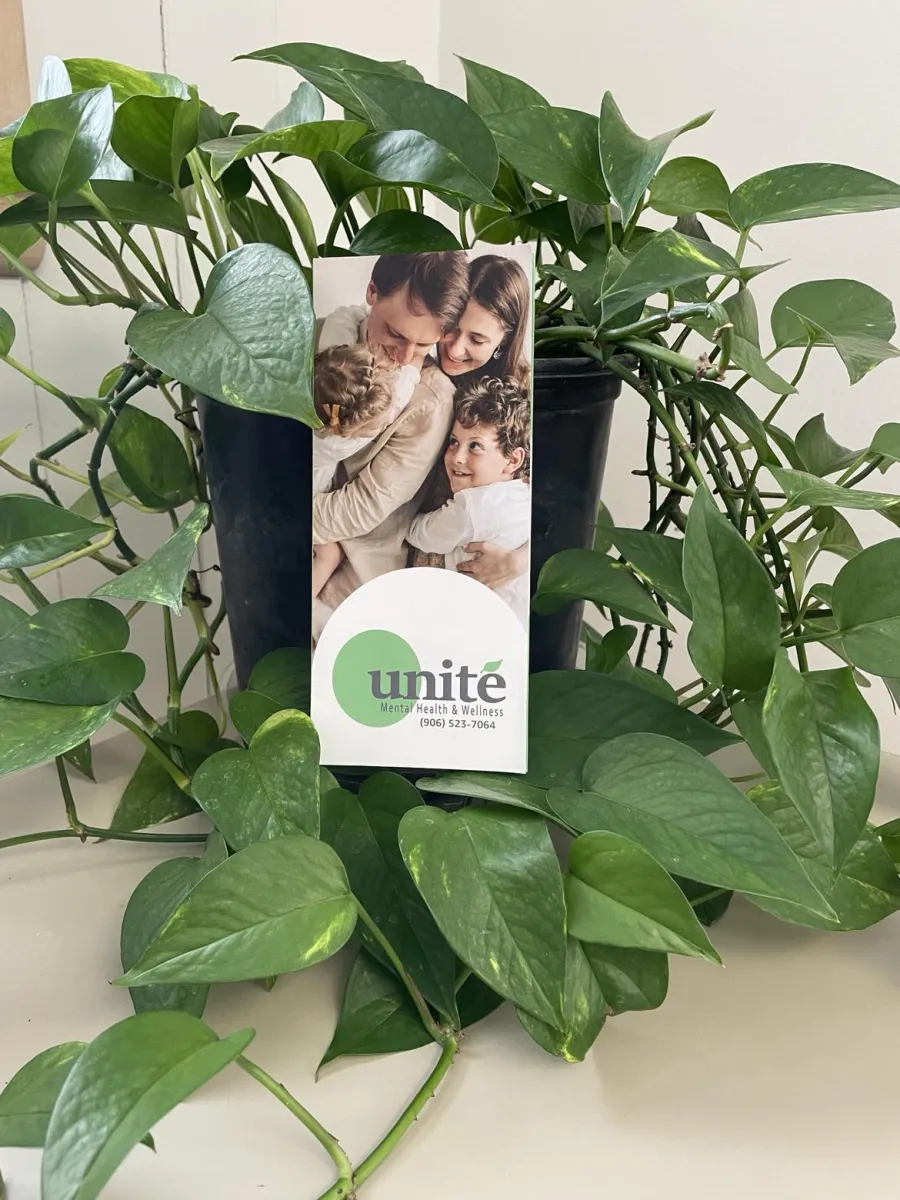 Mental health brochure propped up in green plant