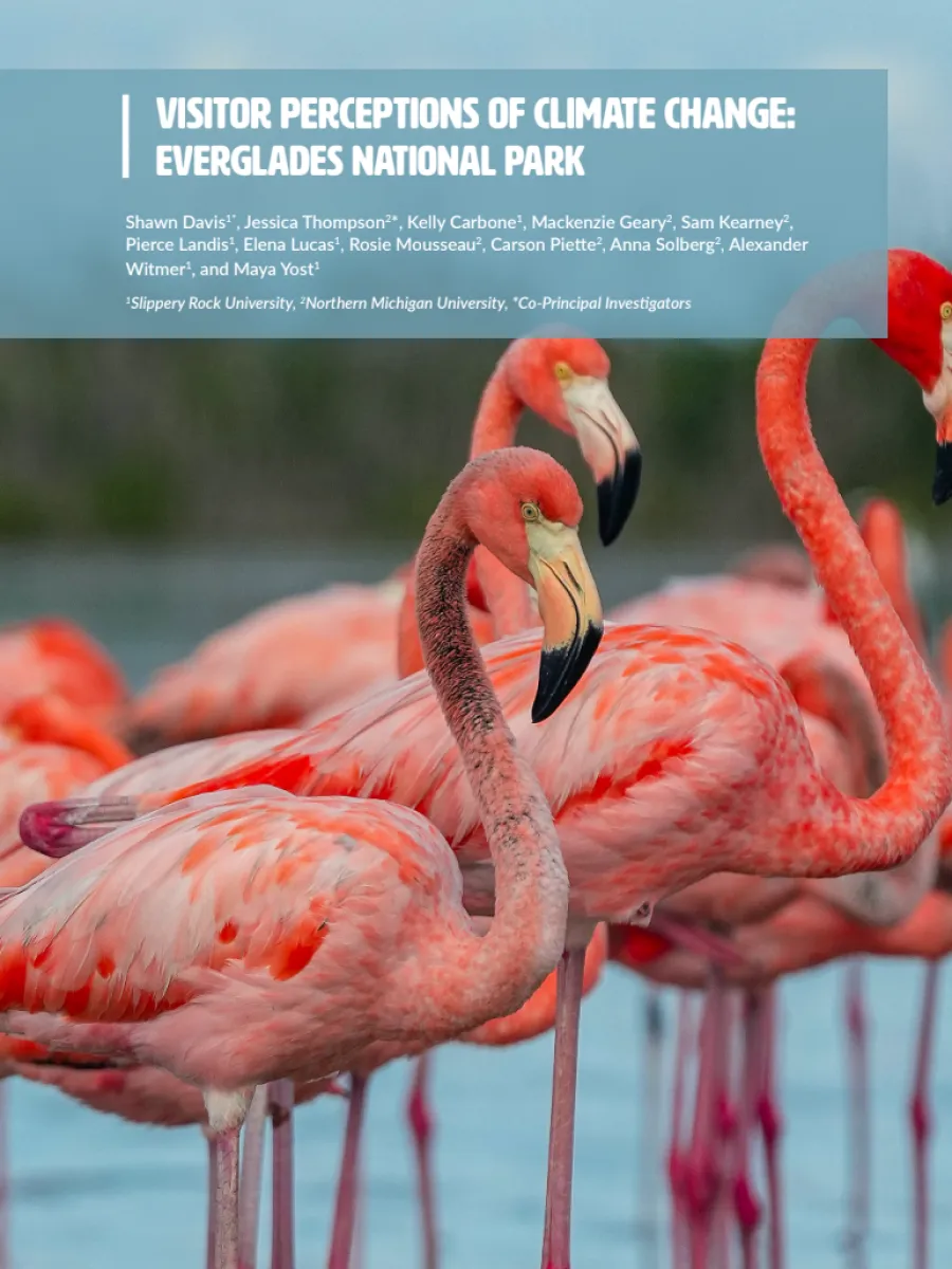 Cover of Everglades report