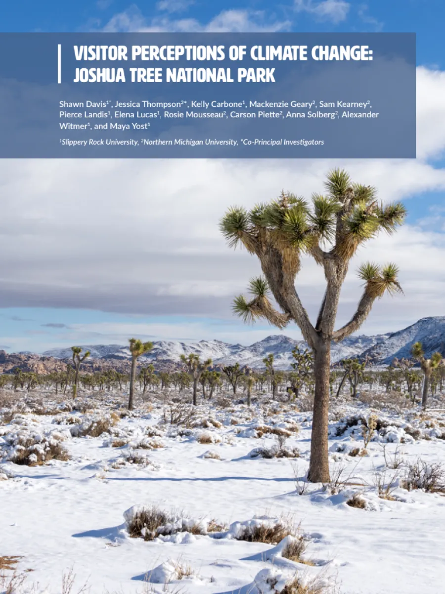 Cover image of Joshua Tree National Park report