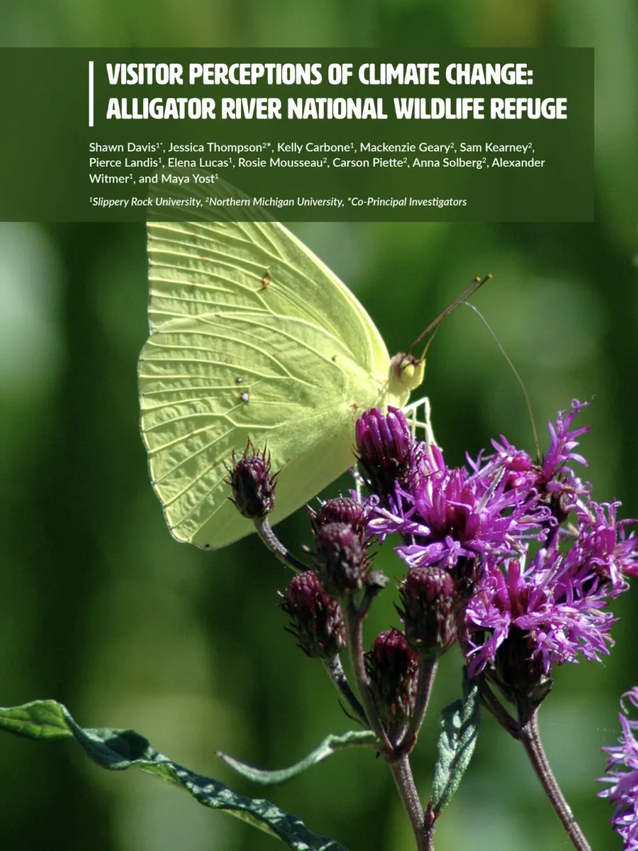 Cover image of Alligator River Site Report