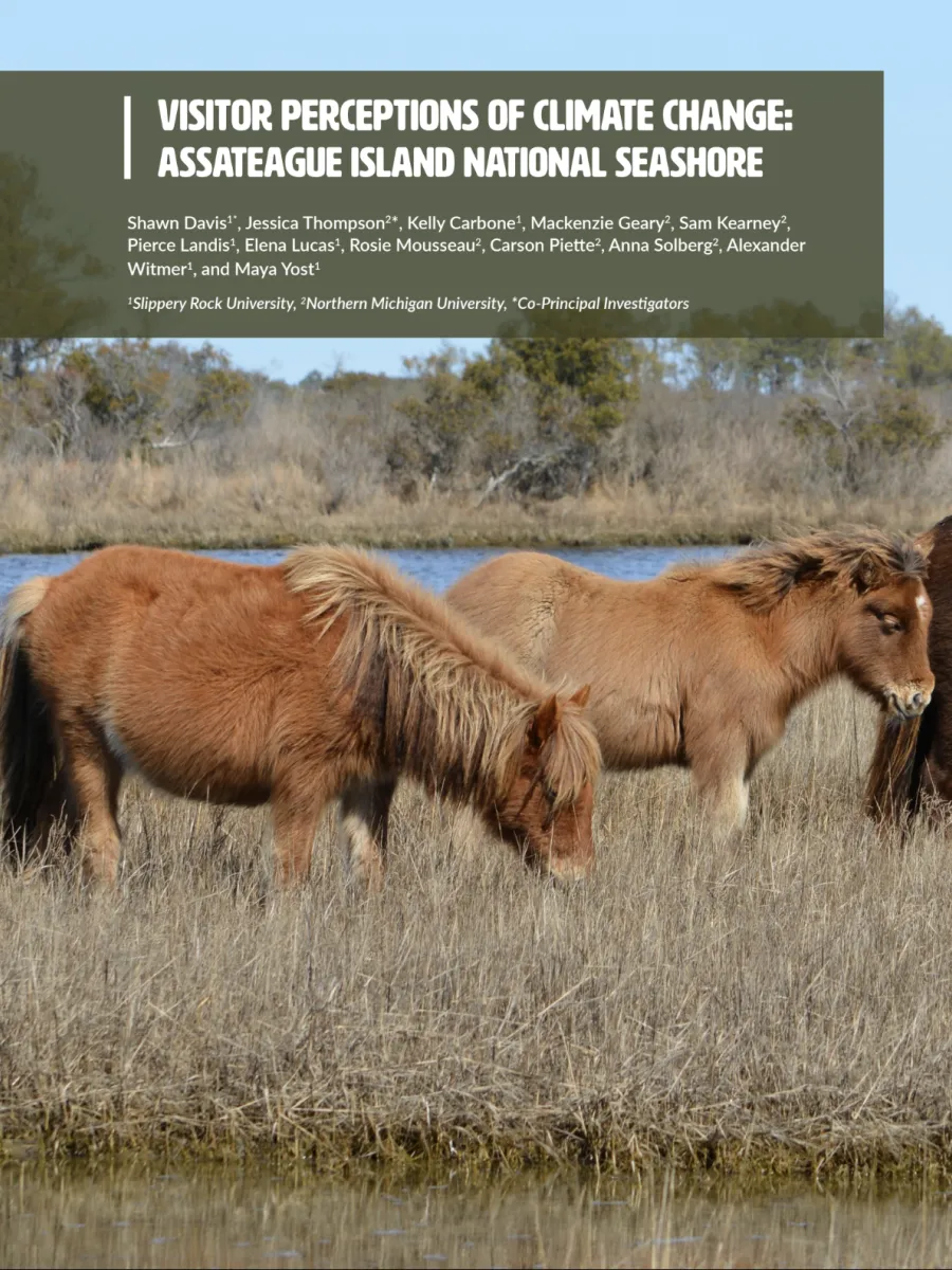Cover image of Assateague site report