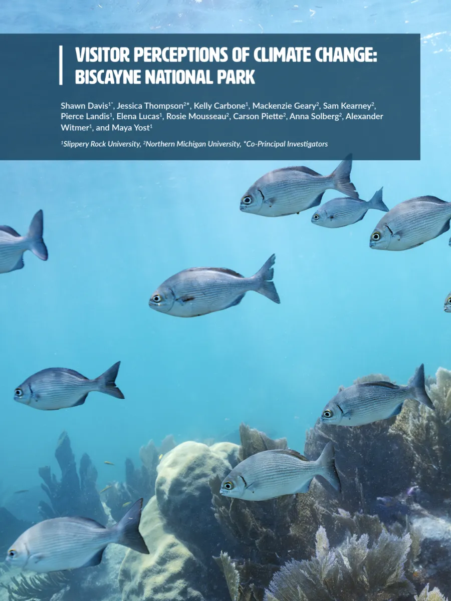 Cover image of Biscayne site report