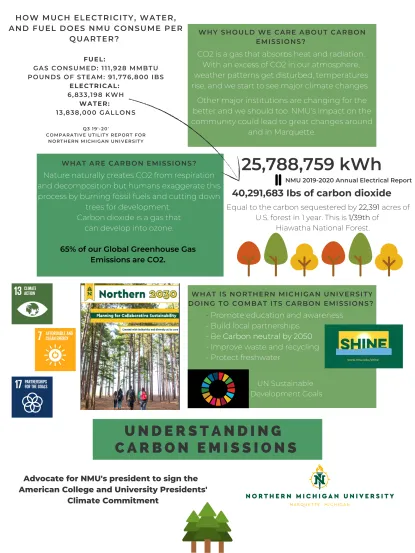 Understanding Carbon Emissions Poster