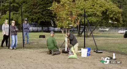 Two people planting a tree