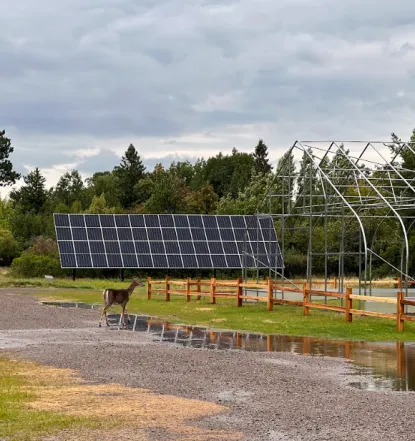 Sustainability Demonstration Area