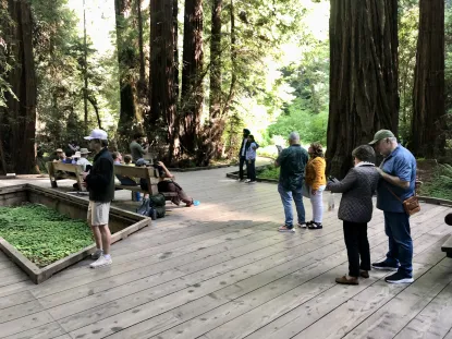 Participants completing the survey in Muir Woods