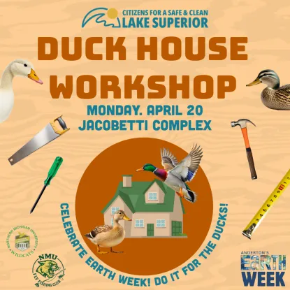 CSCLS Duck House Workshop