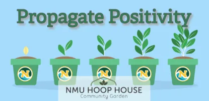 Propogate Positivity