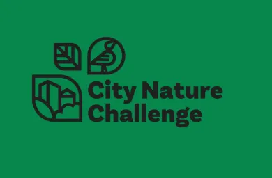 City Nature Challenge