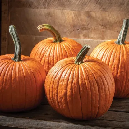 Pumpkin